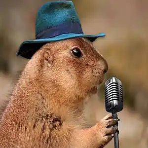 Picture for song 'Country Roads PRAIRIE DOGS (Levi Deiter)' by artist 'Levi Deiter and Brody Wachter'