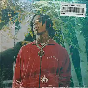 Picture for song 'Inhale' by artist 'MadReal'