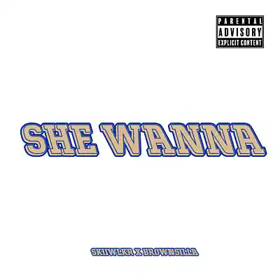 Picture for song 'Skiiwlkr & Brownsilla - She Wanna' by artist 'Skiiwlkr'