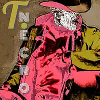 Picture for song 'Gung Ho Cowboy' by artist 'Turtle Necromancer'