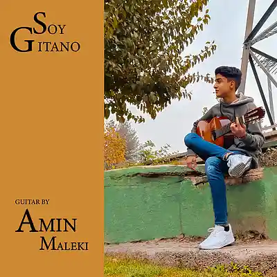 Picture for song 'Gitano Soy' by artist 'Amin Maleki'