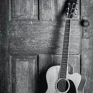 Picture for song 'Full (Cakemix)' by artist 'Bad Hawaiian Shirts'