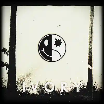 Picture for song '" 1 V O R Y "' by artist 'B L A C K W 3 L L'