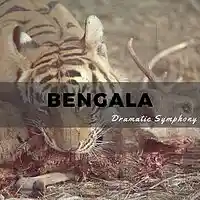 Picture for song 'Bengala' by artist 'Dramatic Symphony'