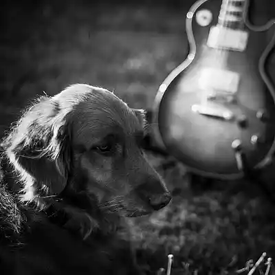 Picture for song 'Endevor - A writers left hook (Remastered)' by artist 'Endevor'