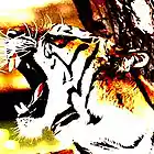 Picture for song 'WILD TING (cover)' by artist 'HeadboXX'