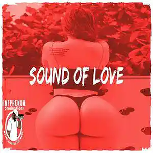 Picture for song 'Sound Of Love(4 FOR $25) Sampled (5 UNLIM $100)' by artist 'InfPhenom'