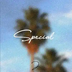 Picture for song 'Lofi/RnB Type Beat - "Special"' by artist 'tiebrkr'