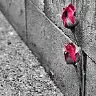 Picture for song 'A Rose through the Concrete' by artist 'JayRBeatz'