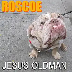 Picture for song 'TIME KEEPER ft Sue Goldstein' by artist 'JESUS OLDMAN'