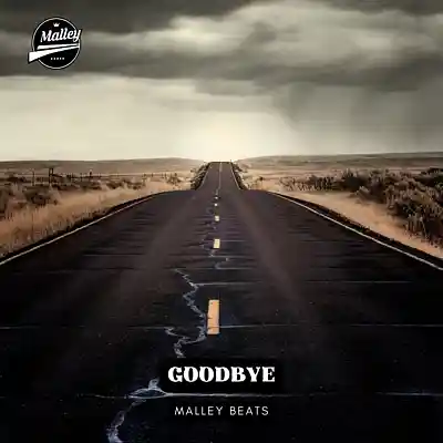 Picture for song 'GOODBYE [MORGAN WALLEN COUNTRY TYPE BEAT]' by artist 'Malley Beats'