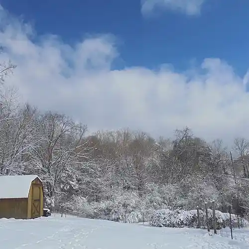 Picture for song 'Pacific Mist' by artist 'RickEwalt'