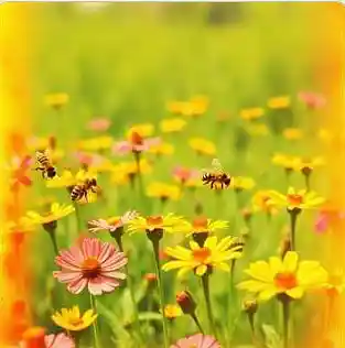 Picture for song 'Honey Bee (final)' by artist 'Robert Creole II'