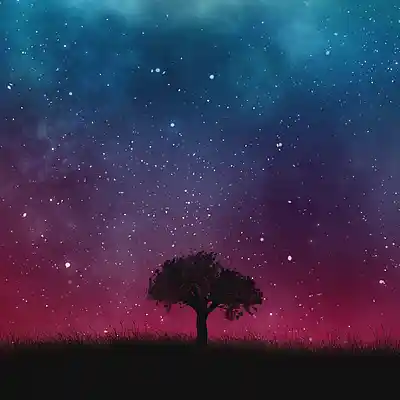 Picture for song 'Psalm 27' by artist 'Ron Gragg'