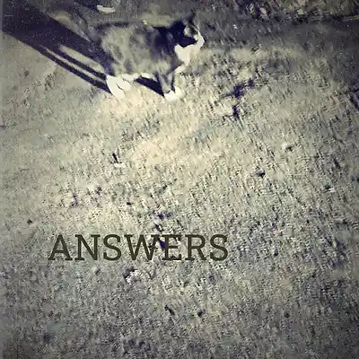 Picture for song 'Answers' by artist 'Spetts'