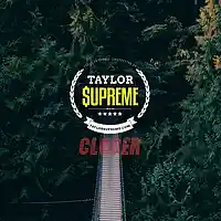 Picture for song 'Closer' by artist 'Taylor Supreme'
