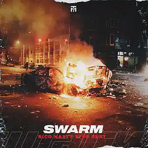 Picture for song 'SWARM - Metal Trap x Rock' by artist 'TEDYSTER'
