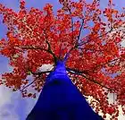 Picture for song 'LittlePlace.mp3' by artist 'TheByronProject'