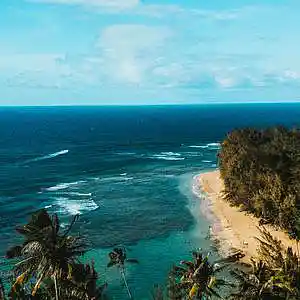 Picture for song 'HAWAII - Dancehall x Reggaeton Instrumental' by artist 'LIL YAZU BEATS'