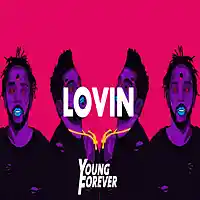 Picture for song 'Lovin (Prod. Young Forever Beats x Cast Beats)' by artist 'Young Forever Beats'