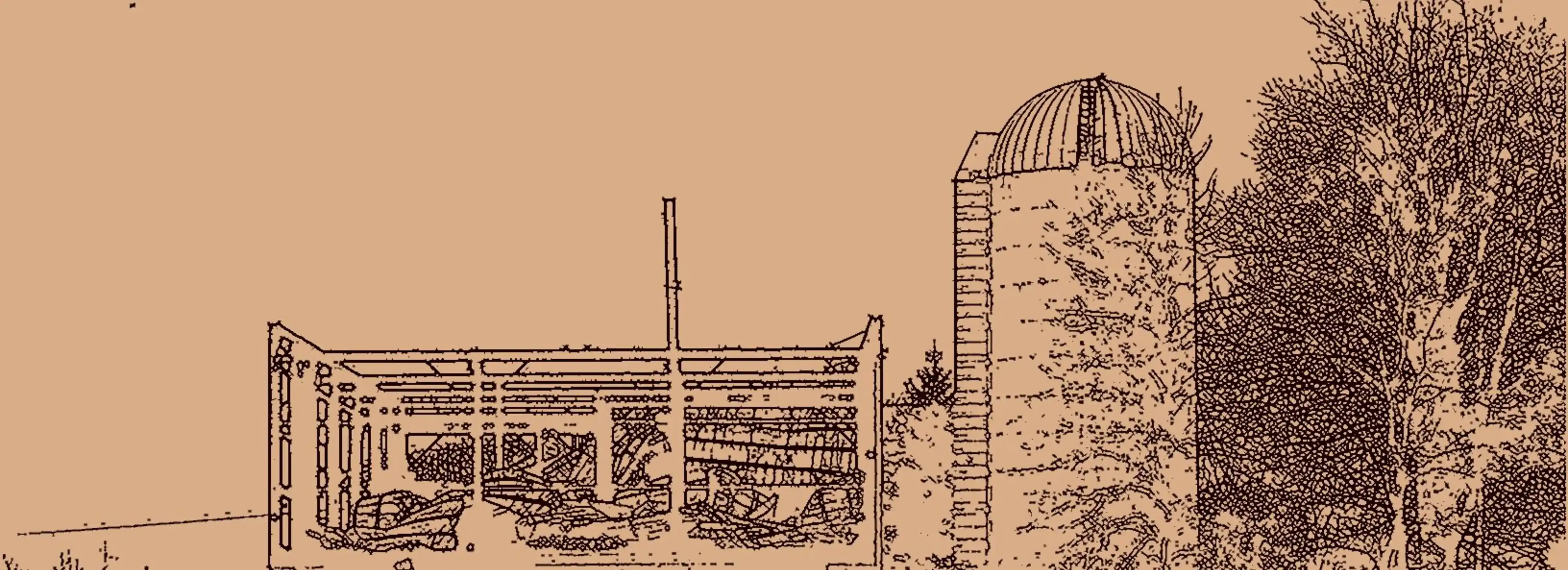 cover pic