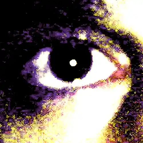 cover pic