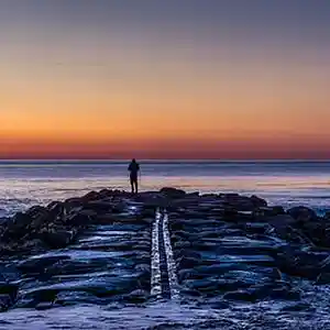 Picture for song 'Careless Love' by artist 'barry coleman folk'