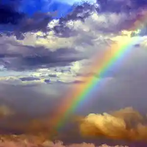 Picture for song 'Colours (donovan)' by artist 'barry coleman folk'