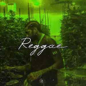 Picture for song 'Reggae (Free DL)' by artist 'Frankenstein Beats'
