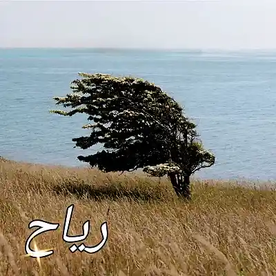 Picture for song 'رياح Wind-(Arabic feat Aaliyah Abdulrahmon) Kawait' by artist 'Gloria May Byron'