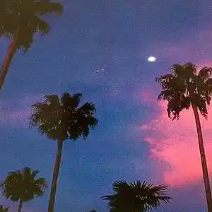 Picture for song 'Playboi Carti x Pierre Bourne beat "Night Race"' by artist 'GREEGI BEATS'