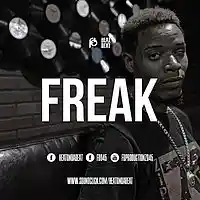 Picture for song 'Freak ..::HIT::.. ' by artist 'HEATONDABEAT'