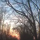 Picture for song 'get along little tomorrow' by artist 'labbor'