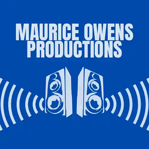 Picture for song 'It's a vibe for real' by artist 'Maurice Owens'