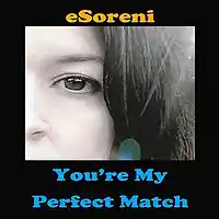 Picture for song 'You're My Perfect Match featuring eSoreni' by artist 'Ropatt'