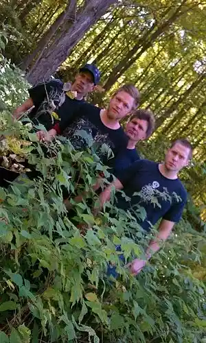 Picture for song '12_Insane.mp3' by artist 'WARNING Band'