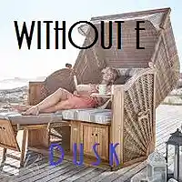 Picture for song 'DUSK' by artist 'WITHOUT E'