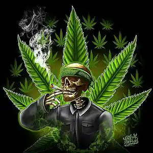 Picture for song 'Maldito Politico' by artist 'Alexander Deville'