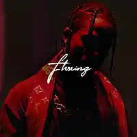 Picture for song 'Flexing' by artist 'AndreOnBeat'
