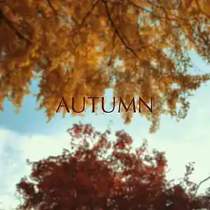 Picture for song 'Autumn FREE BEAT' by artist 'CGPbeats'