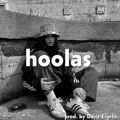 Picture for song 'Boom Bap type beat "hoolas"' by artist 'Davis Ergelis'