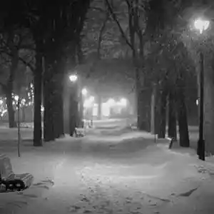 Picture for song 'Cold Life (Rap Instrumental) 01-11-2022' by artist 'In 2 Deep Productions'