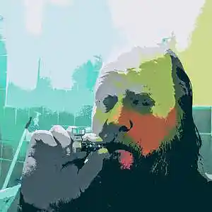 Picture for song 'ODDITY' by artist 'Irp Snerple The Pleiadian Dragon Lion'