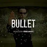 Picture for song 'Bullet **SOLD**' by artist 'Parabellum Beats'