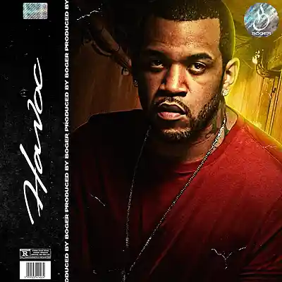 Picture for song 'Havoc (Lloyd Banks Type Beat)' by artist 'BOGER'