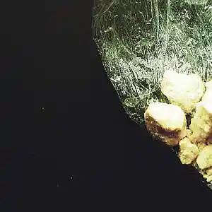 Picture for song 'Crack Rock (Beat King Type Beat) - Devezin.com' by artist 'Devezin'