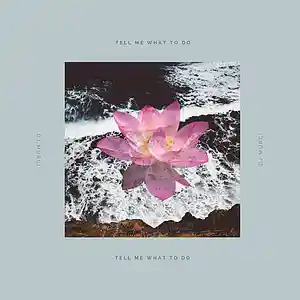 Picture for song 'Tell Me What To Do' by artist 'Aeijnn'