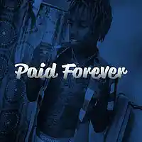 Picture for song 'Paid Forever' by artist 'Foreign Made It'