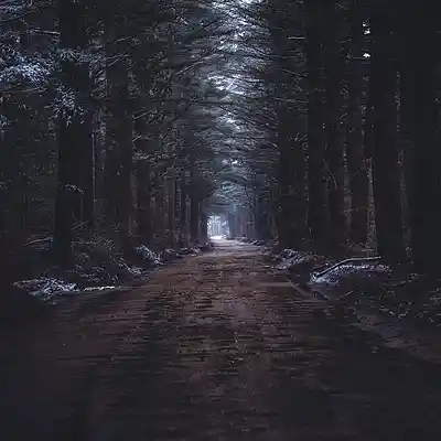 Picture for song '"NICMDRO" TRAP TYPE BEAT MIDNIGHT CAR' by artist 'Lobotomyz'