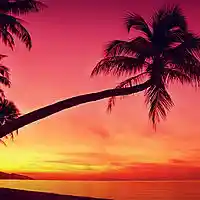 Picture for song 'Summer Vybe Tropical Riddim' by artist 'OGE BEATS'